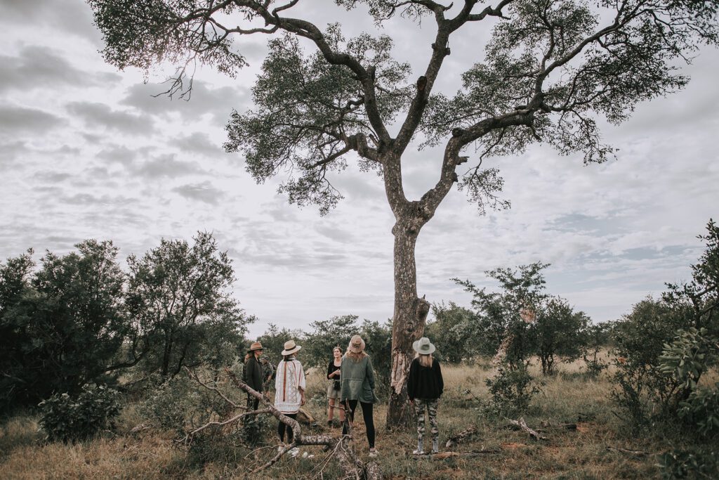 Serondella walking safari break Serondella walking safari break
