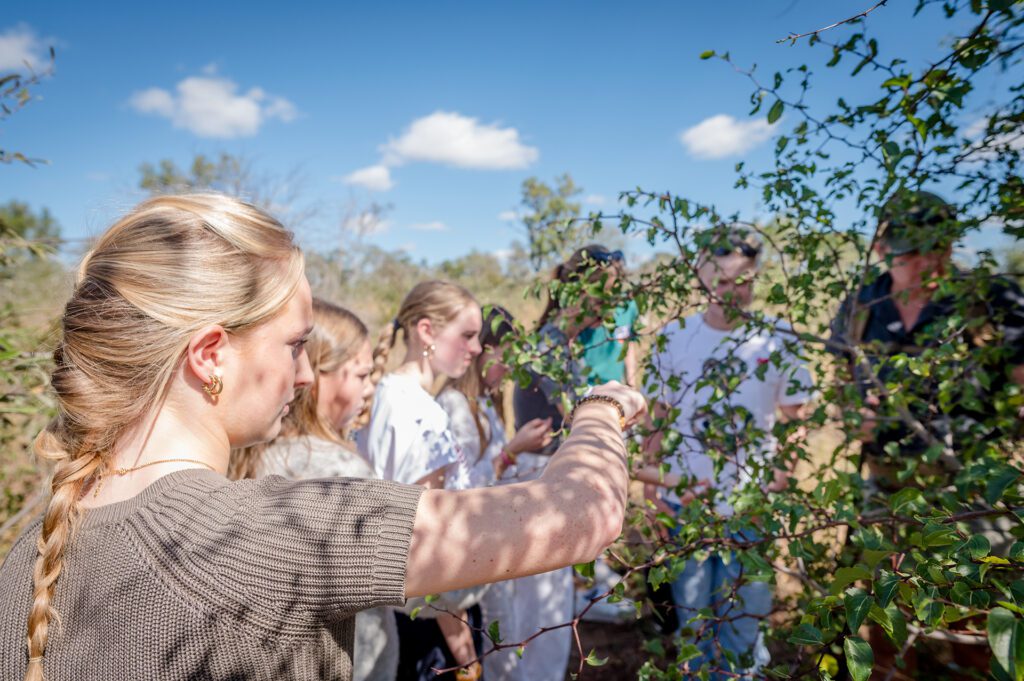 Serondella walking safari learning about buffalo thorn Serondella walking safari learning about buffalo thorn